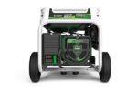 GENERADOR GASOLINA - PROPANO NATURA 5500 GENERGY
