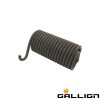 Muelle trinquete GALLIGNANI 8876207