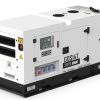 grupo electrogeno gds14t 14kva 2
